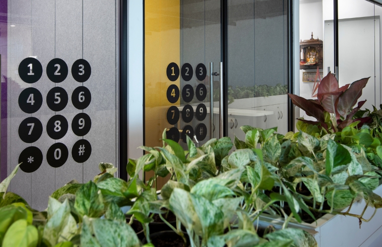 Nature breathes fresh air into the workspace of the Delta Corp office